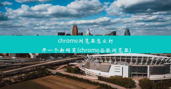 chrome浏览器怎么打开一个新网页(chrome谷歌浏览器)