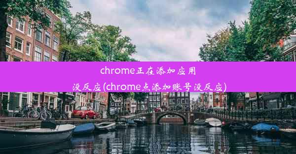 chrome正在添加应用没反应(chrome点添加账号没反应)