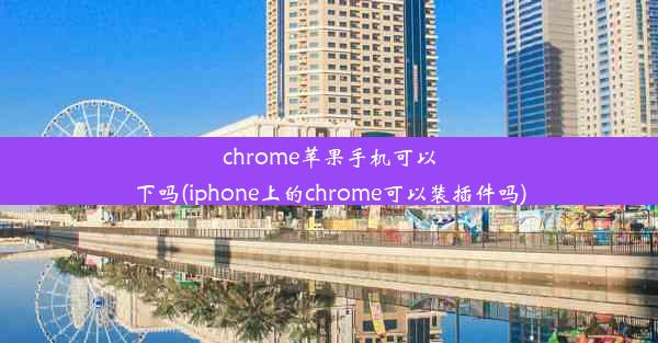 chrome苹果手机可以下吗(iphone上的chrome可以装插件吗)