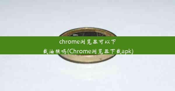 chrome浏览器可以下载油猴吗(Chrome浏览器下载apk)