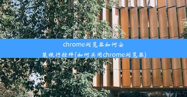 chrome浏览器如何安装银行控件(如何关闭chrome浏览器)