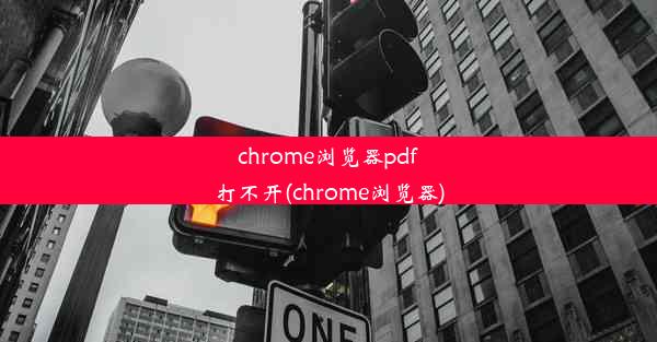 chrome浏览器pdf打不开(chrome浏览器)