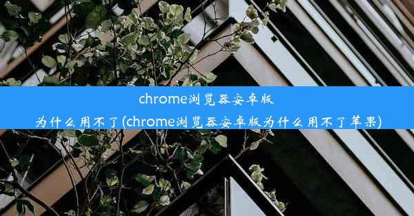 chrome浏览器安卓版为什么用不了(chrome浏览器安卓版为什么用不了苹果)