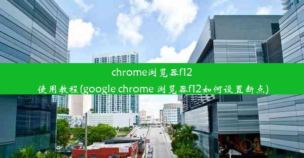 chrome浏览器f12使用教程(google chrome 浏览器f12如何设置断点)