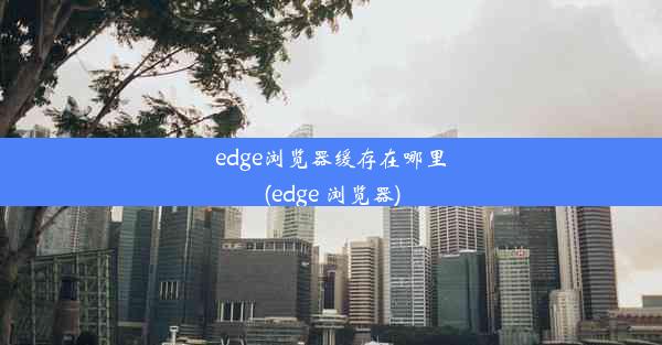 edge浏览器缓存在哪里(edge 浏览器)