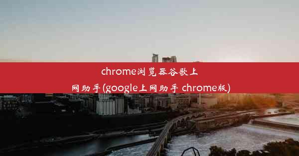 chrome浏览器谷歌上网助手(google上网助手 chrome版)