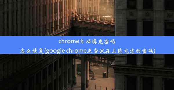 chrome自动填充密码怎么恢复(google chrome正尝试在上填充您的密码)