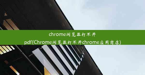 chrome浏览器打不开pdf(Chrome浏览器打不开chrome应用商店)