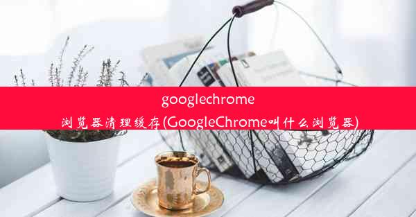 googlechrome浏览器清理缓存(GoogleChrome叫什么浏览器)