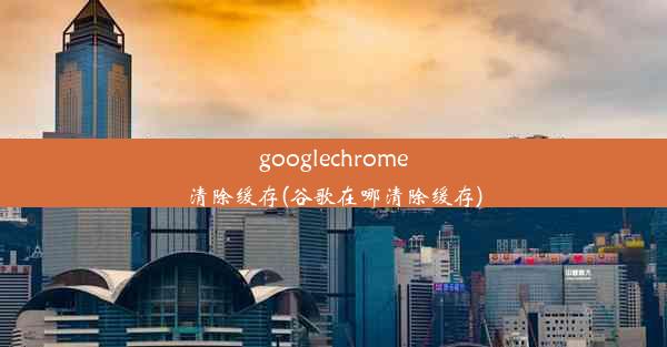 googlechrome清除缓存(谷歌在哪清除缓存)