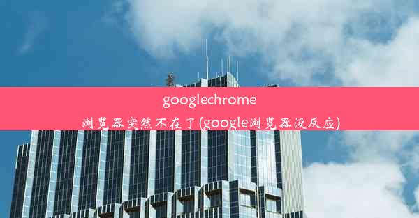 googlechrome浏览器突然不在了(google浏览器没反应)