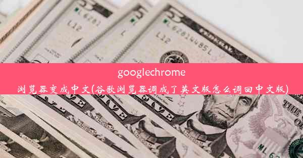 googlechrome浏览器变成中文(谷歌浏览器调成了英文版怎么调回中文版)