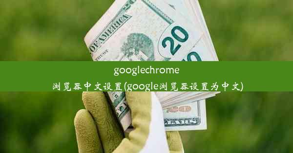 googlechrome浏览器中文设置(google浏览器设置为中文)