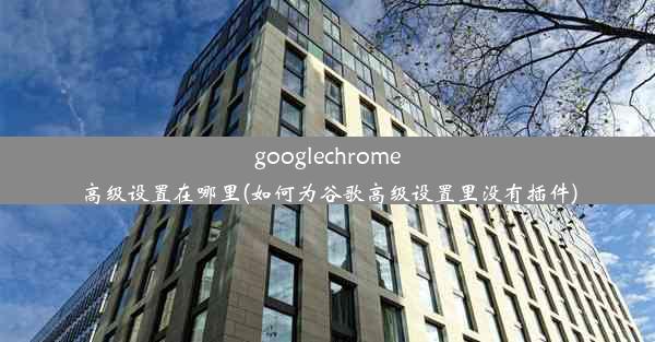 googlechrome高级设置在哪里(如何为谷歌高级设置里没有插件)