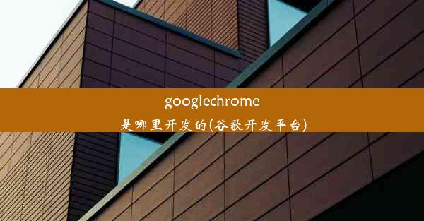 googlechrome是哪里开发的(谷歌开发平台)