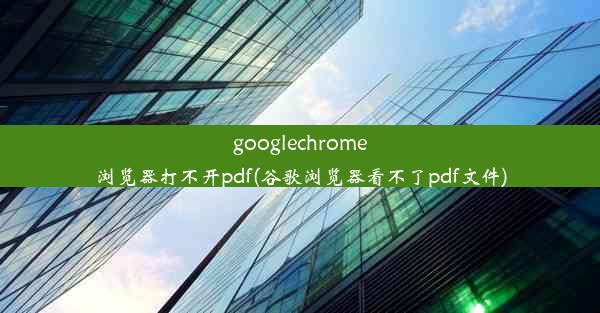 googlechrome浏览器打不开pdf(谷歌浏览器看不了pdf文件)