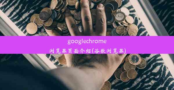 googlechrome浏览器页面介绍(谷歌浏览器)