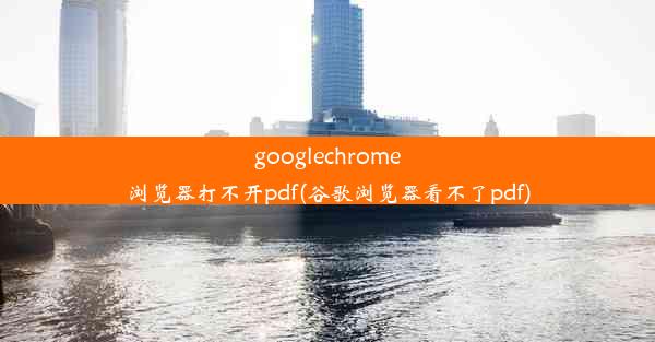 googlechrome浏览器打不开pdf(谷歌浏览器看不了pdf)