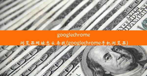 googlechrome浏览器网址怎么查找(googlechrome手机浏览器)