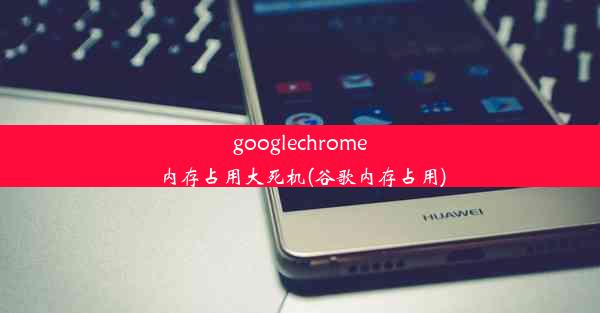 googlechrome内存占用大死机(谷歌内存占用)