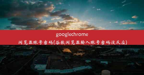 googlechrome浏览器账号密码(谷歌浏览器输入账号密码没反应)