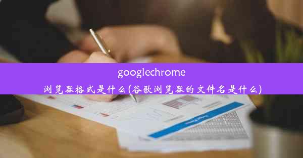 googlechrome浏览器格式是什么(谷歌浏览器的文件名是什么)