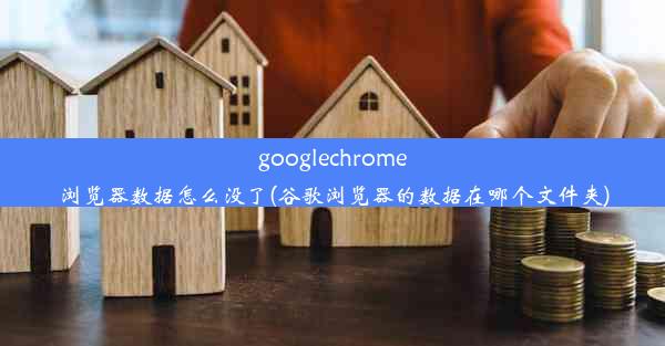 googlechrome浏览器数据怎么没了(谷歌浏览器的数据在哪个文件夹)