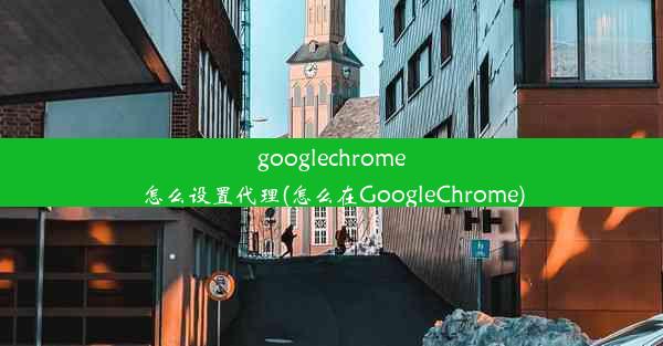 googlechrome怎么设置代理(怎么在GoogleChrome)