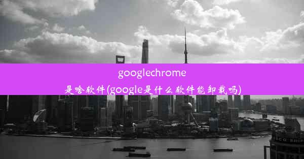 googlechrome是啥软件(google是什么软件能卸载吗)