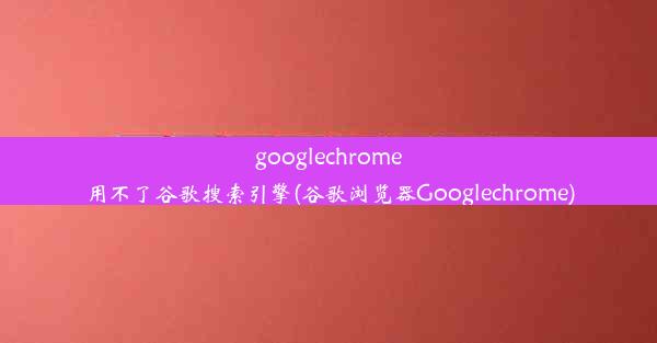 googlechrome用不了谷歌搜索引擎(谷歌浏览器Googlechrome)