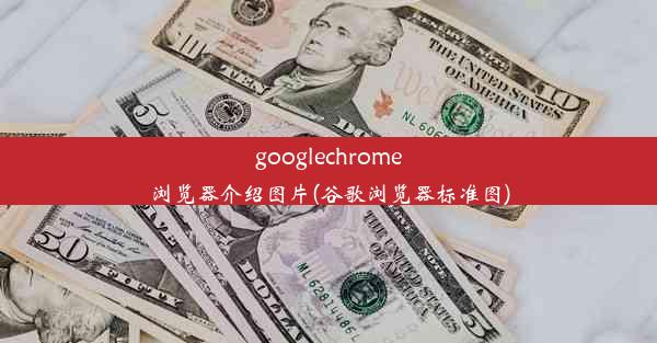 googlechrome浏览器介绍图片(谷歌浏览器标准图)