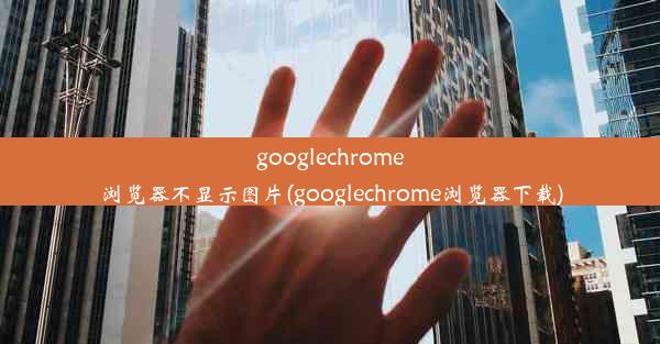 googlechrome浏览器不显示图片(googlechrome浏览器下载)