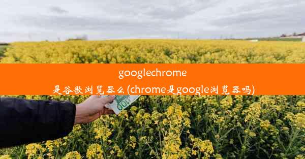 googlechrome是谷歌浏览器么(chrome是google浏览器吗)