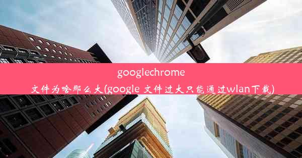 googlechrome文件为啥那么大(google 文件过大只能通过wlan下载)