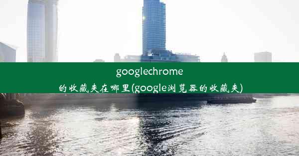 googlechrome的收藏夹在哪里(google浏览器的收藏夹)