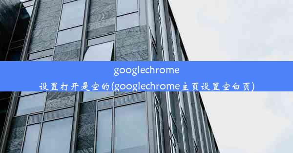 googlechrome设置打开是空的(googlechrome主页设置空白页)