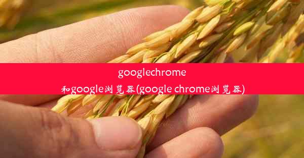 googlechrome和google浏览器(google chrome浏览器)