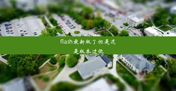 flash最新版了但是还是版本过低