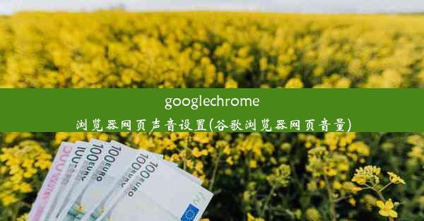 googlechrome浏览器网页声音设置(谷歌浏览器网页音量)