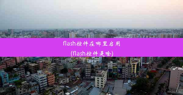 flash控件在哪里启用(flash控件是啥)