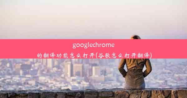 googlechrome的翻译功能怎么打开(谷歌怎么打开翻译)