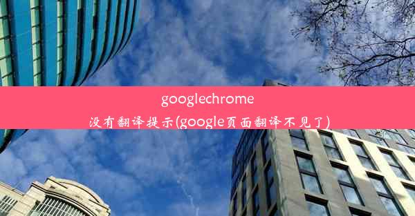 googlechrome没有翻译提示(google页面翻译不见了)