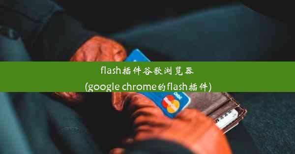 flash插件谷歌浏览器(google chrome的flash插件)