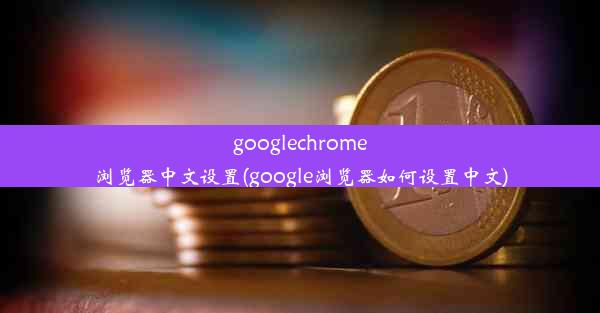 googlechrome浏览器中文设置(google浏览器如何设置中文)