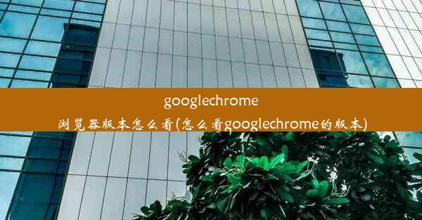 googlechrome浏览器版本怎么看(怎么看googlechrome的版本)