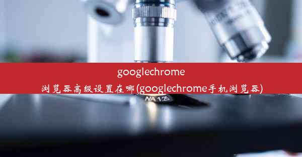 googlechrome浏览器高级设置在哪(googlechrome手机浏览器)