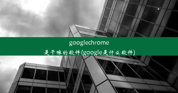 googlechrome是干嘛的软件(google是什么软件)