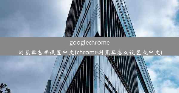 googlechrome浏览器怎样设置中文(chrome浏览器怎么设置成中文)