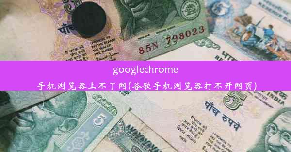 googlechrome手机浏览器上不了网(谷歌手机浏览器打不开网页)