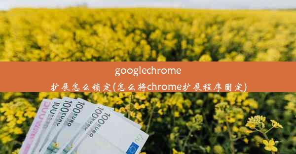 googlechrome扩展怎么锁定(怎么将chrome扩展程序固定)